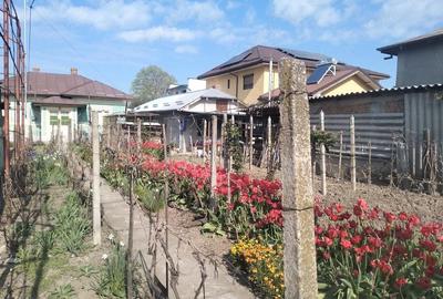 Casă cu Canalizare în Central - 6
