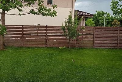 Casă cu Teren 450 Mp în Dragomirești-Deal - 4