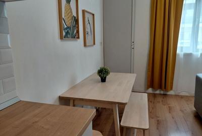 Apartament cu 2 camere semidecomandat în Tunari - 5