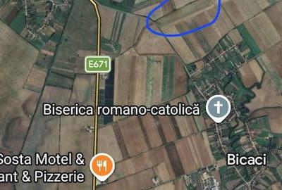 Teren de 70000 mp, în Bicaci - 2
