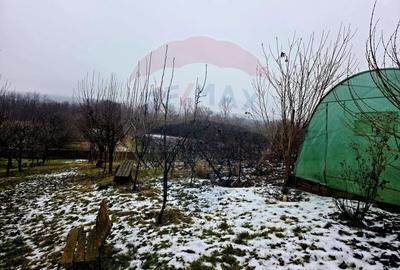 Teren Construcții intravilan de 4516 mp, în Doina - 14