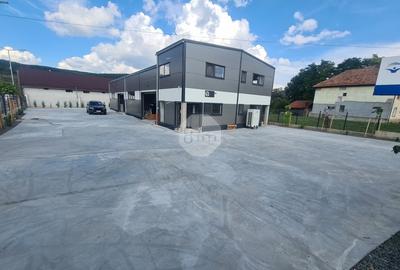 Teren Construcții intravilan de 10600 mp, în Baciu