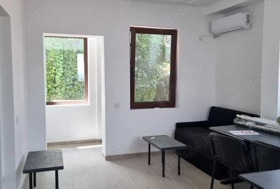 Ultracentral, Catedrala, 2 camere, in vila noua, curte proprie, centrala - 3