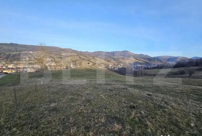 Teren de 16667 mp, în Abrud-Sat - 4