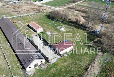 Teren Construcții intravilan de 8368 mp, în Mohu - 2