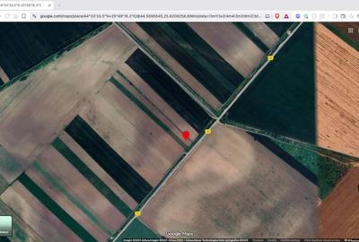 Teren extravilan agricol 10.000 mp Tartasesti - 1
