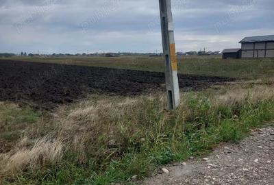 Teren de 7500 mp, în Mărăcineni - 3