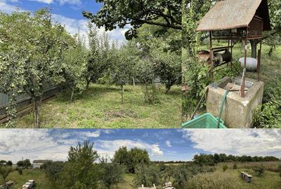 Casă cu 4 camere în Zădăreni - 4