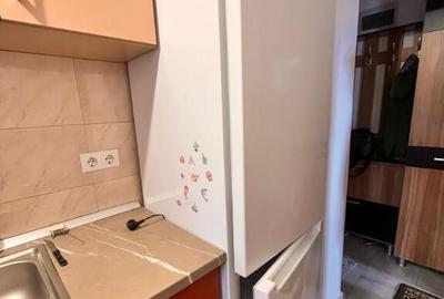 Apartament 1 camera decomandat - Tatara?i, centrala termica, parcare - 8