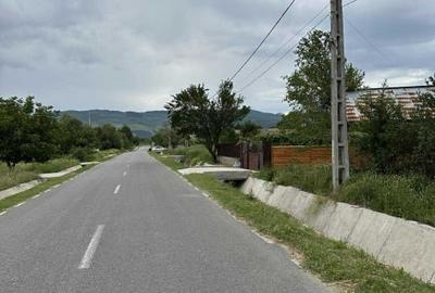 Teren Construcții intravilan de 5000 mp, în Lelești - 1