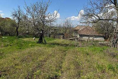 Casă cu Teren 2000 Mp în Valea Fetei - 3