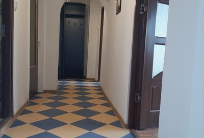 Piata Muncii-Campia Libertatii stradal - 6