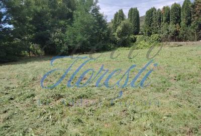 Casă cu 2 camere cu Teren 2200 Mp în Zimbor - 3