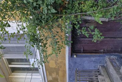 Casă cu 3 camere cu Teren 2400 Mp în Budacu de Jos - 1