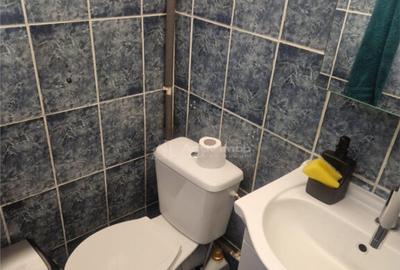 Garsoniera- Tractorul - 5