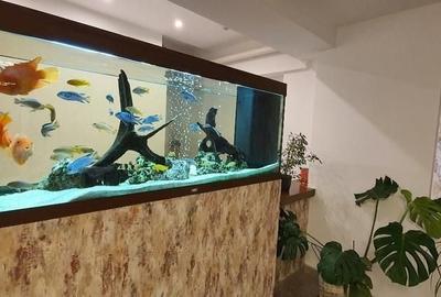 Apartament cu 4 camere decomandat, mobilat în Băneasa - 14