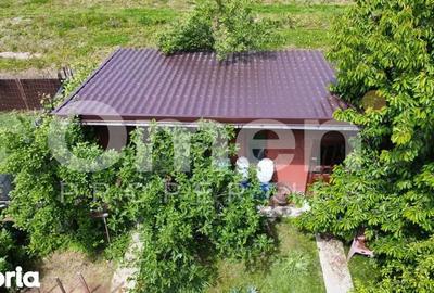 Casă cu 3 camere cu Teren 1500 Mp în Mireșu Mare - 7