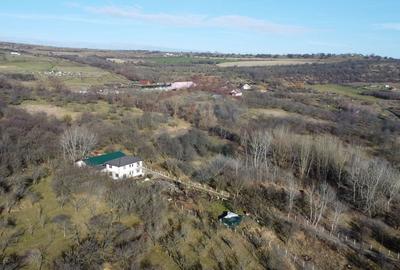 Teren agricol extravilan de 20146 mp, în Dâmbul Rotund - 12