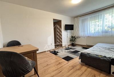 Apartament cu 2 camere nedecomandat, mobilat în Șagului