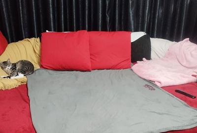Apartament cu 3 camere în Central - 3