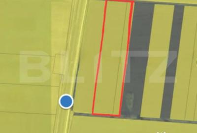 Teren de 16000 mp, în Sud