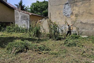 Teren de 985 mp, în Foișorul de Foc - 1