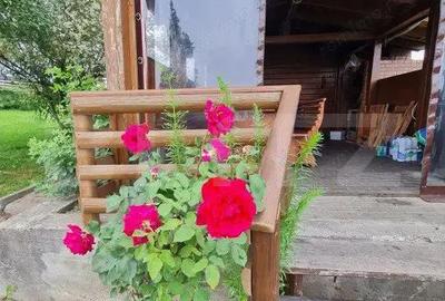 Casă cu 6 camere cu Teren 5000 Mp în Rădăuți - 13