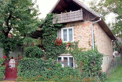 Casă individuală cu 3 camere cu Teren 10000 Mp în Bărăi - 1
