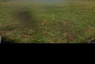 Vând teren în pădure aproape de pădurea colorată - 2