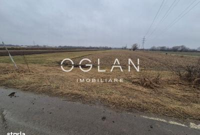 Spațiu comercial, în Șelimbăr - 6