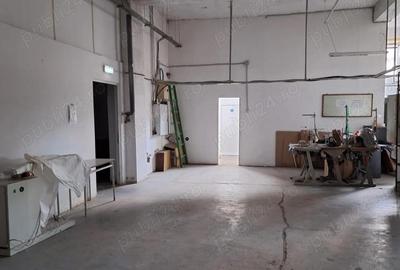 Hala industriala 870 mp, Re?i?a, Cara? Severin - 3