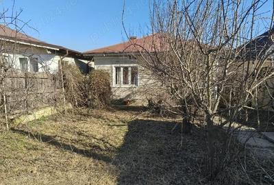 Casă cu 3 camere cu Teren 850 Mp în Central - 5