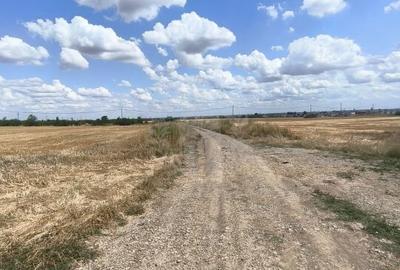 TEREN COCOSESESTI//INTRAVILAN - 7