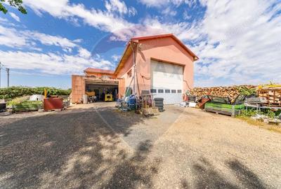 Spa?iu industrial cu potential de vanzare in Paulis,Arad - 7