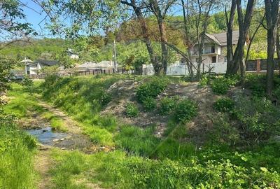 Teren 1,000mp Magura / Strada Valea Magurii - 5