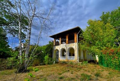 Vanzare vila 6 camere 264mp + garaj + garsoniera separata + 1490mp Centru Snagov - 3