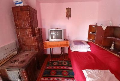 Casă cu 4 camere cu Teren 2700 Mp în Șișești - 1