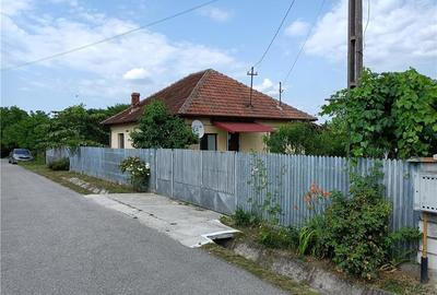 Casă cu 3 camere cu Teren 3000 Mp în Români - 4