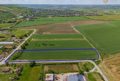 Teren agricol intravilan de 6400 mp, în Miniș - 3