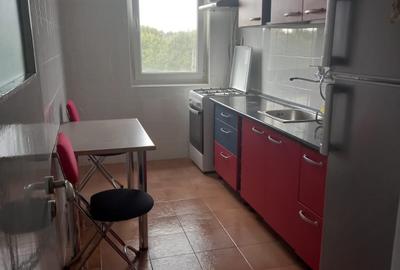 Apartament cu 2 camere decomandat, mobilat în Tineretului - 15