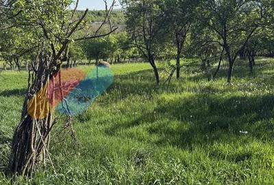 Teren 825 mp in Cojocna, perfect pentru locuinta sau investitie turistica - 2