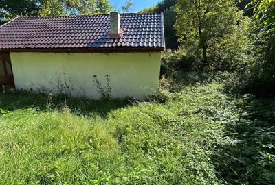 Cabana de vanzare, Valea Manastirii - Ramet - 1