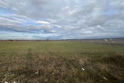 Teren de 9196 mp, în Sânmartin - 5
