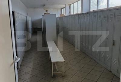 Spațiu comercial, de 5,800 mp, în Lipănești - 14