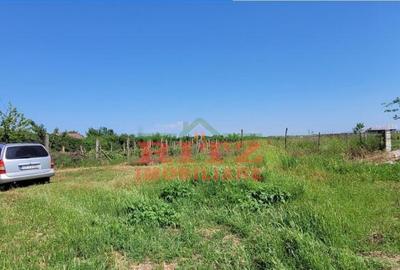 Nou! Teren intravilan 1302 mp, deschidere la 2 strazi, Milco - 2