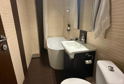 Apartament 3 camere modern cu centrala proprie Unirii-Octavian Goga-Nerva Traian - 20