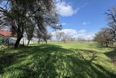 Casă individuală cu 2 camere cu Canalizare în Vad - 3