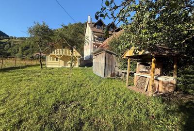 Casa de vacanta pe Valea Lotrioarei in cadru de vis - 4