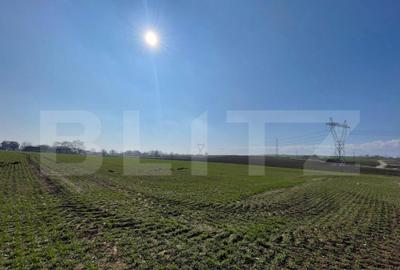 Teren extravilan, 7.300 mp, front 51 ml - Falticeni - 2