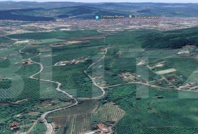 Teren de 1150 mp, în Central